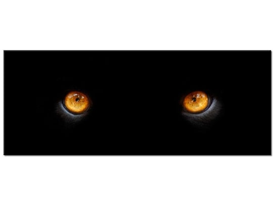 Obraz Oczy pantery, 100x40 cm Oobrazy