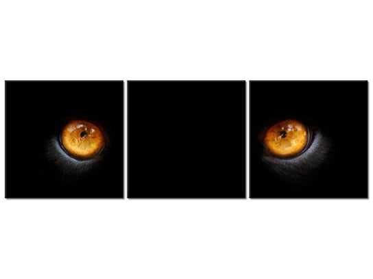 Obraz Oczy pantery, 3 elementy, 90x30 cm Oobrazy