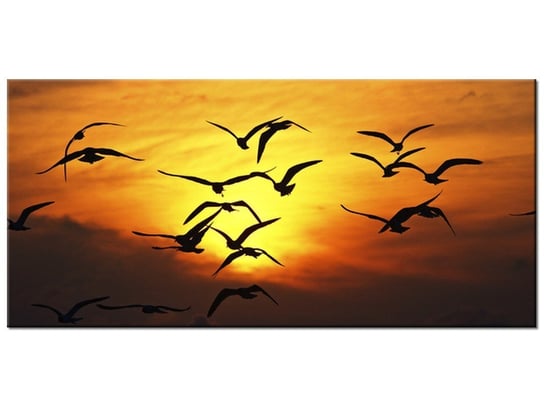 Obraz Odlatujące ptaki - Zach Dischner, 115x55 cm Oobrazy