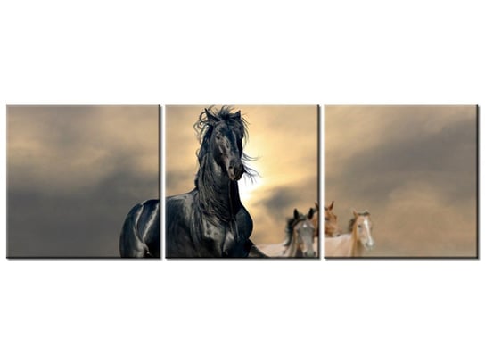 Obraz Ogier, 3 elementy, 150x50 cm Oobrazy