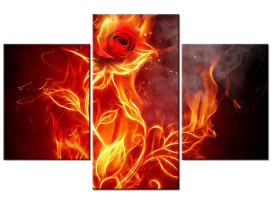 Obraz Ognista róża, 3 elementy, 90x60 cm Oobrazy