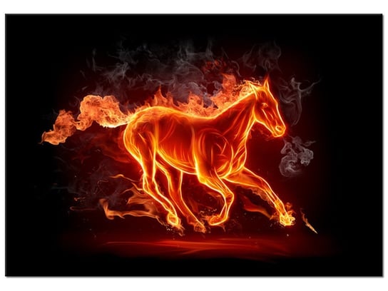 Obraz, Ognisty koń, 100x70 cm Oobrazy