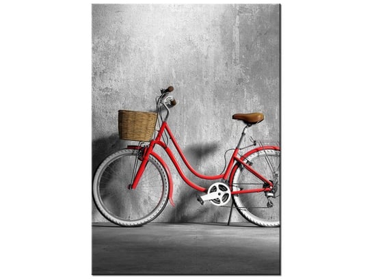 Obraz Oldschoolowy rower, 70x100 cm Oobrazy