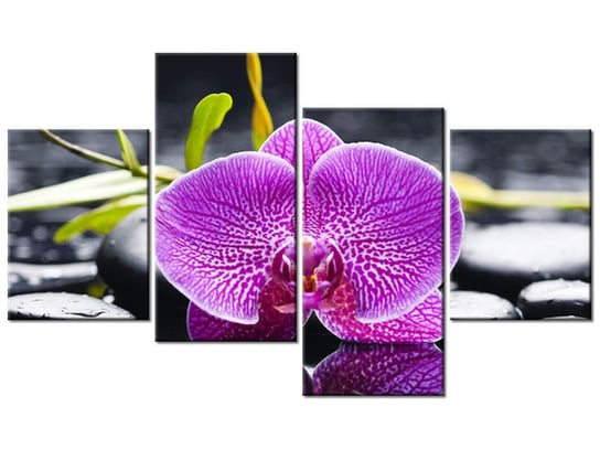 Obraz Orchidea, 4 elementy, 120x70 cm Oobrazy