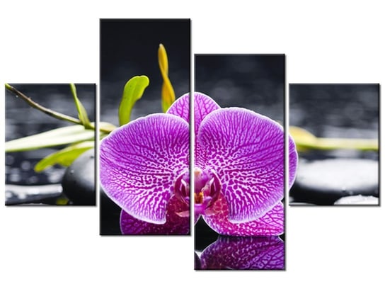 Obraz Orchidea, 4 elementy, 120x80 cm Oobrazy