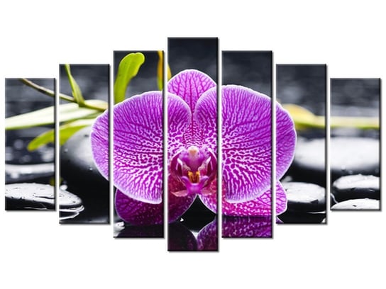 Obraz Orchidea, 7 elementów, 140x80 cm Oobrazy
