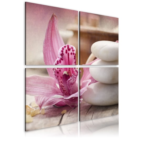 Obraz - Orchidea i zen Różowy 40x40 ARTGEIST