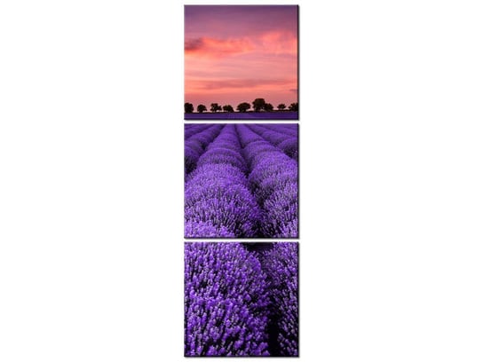 Obraz Oszałamiający krajobraz z lawendą w fiolecie, 3 elementy, 30x90 cm Oobrazy