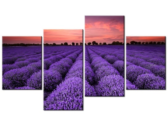 Obraz Oszałamiający krajobraz z lawendą w fiolecie, 4 elementy, 120x70 cm Oobrazy