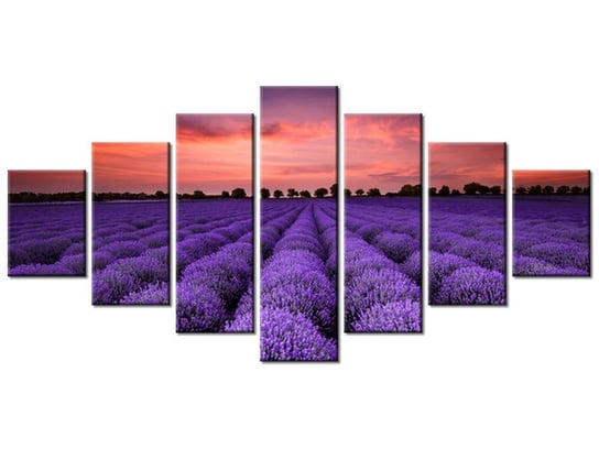 Obraz Oszałamiający krajobraz z lawendą w fiolecie, 7 elementów, 210x100 cm Oobrazy