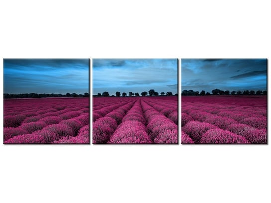 Obraz Oszałamiający krajobraz z lawendą w fuksji, 3 elementy, 90x30 cm Oobrazy