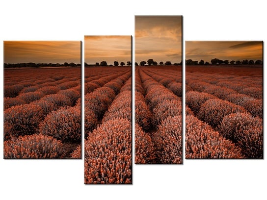 Obraz Oszałamiający krajobraz z lawendą w pomarańczu, 4 elementy, 130x85 cm Oobrazy