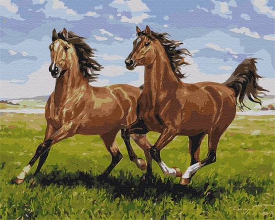Obraz Paint it! Malowanie po numerach, Konie na łące Symag
