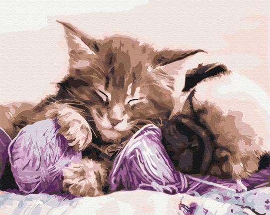Obraz Paint it! Malowanie po numerach, Kot i pies Symag