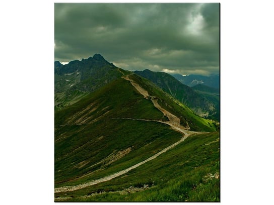 Obraz Panorama Tatr, 50x60 cm Oobrazy