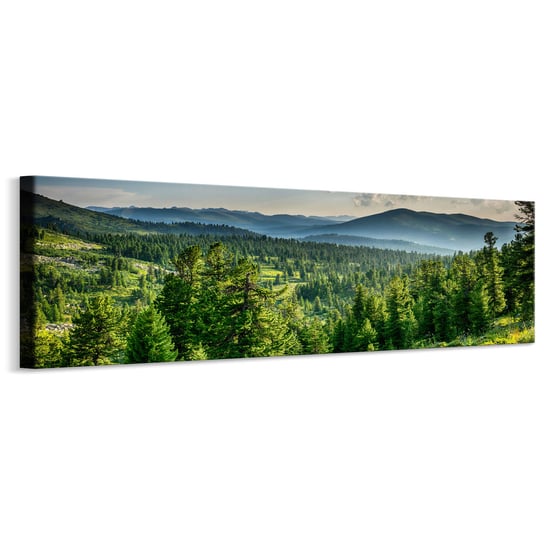 Obraz Panoramiczny Do Salonu LAS Góry Krajobraz Efekt 3D Natura 145cm x 45cm Muralo