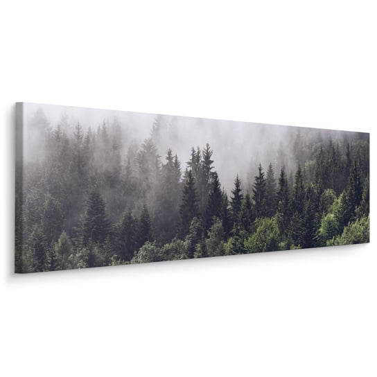 Obraz Panoramiczny LAS We Mgle Krajobraz Natura Drzewa 145cm x 45cm Muralo