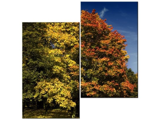 Obraz Park jesienią, 2 elementy, 60x60 cm Oobrazy