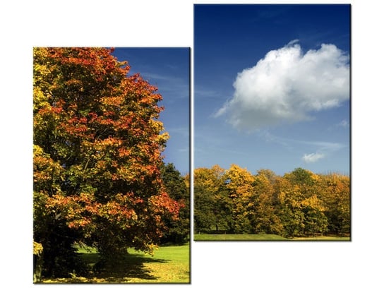 Obraz Park jesienią, 2 elementy, 80x70 cm Oobrazy