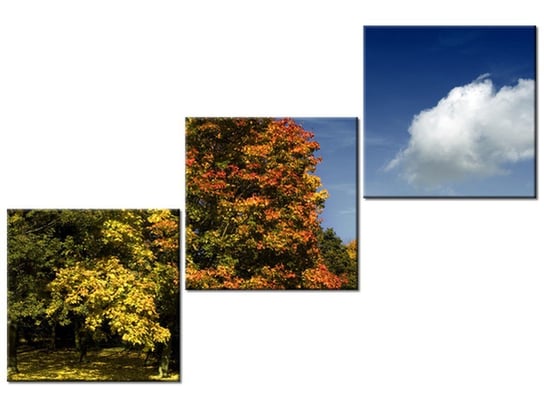 Obraz Park jesienią, 3 elementy, 120x80 cm Oobrazy