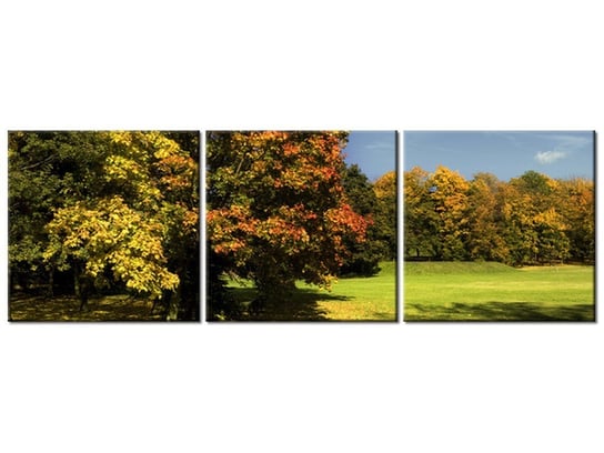 Obraz Park jesienią, 3 elementy, 90x30 cm Oobrazy