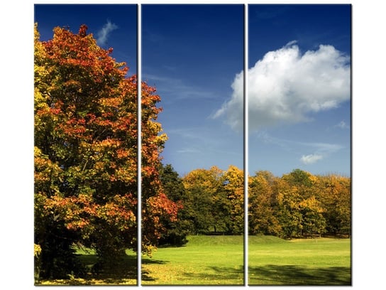 Obraz Park jesienią, 3 elementy, 90x80 cm Oobrazy