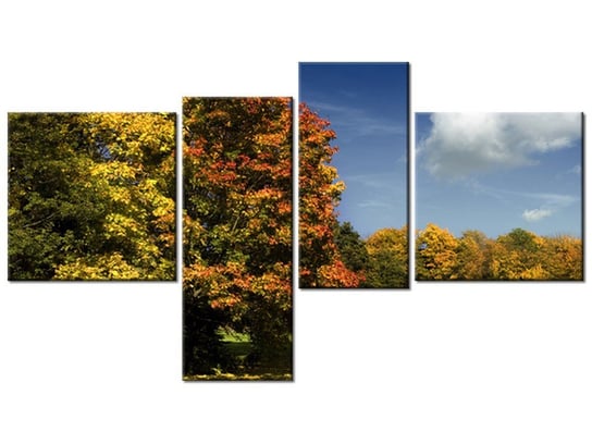Obraz Park jesienią, 4 elementy, 100x55 cm Oobrazy