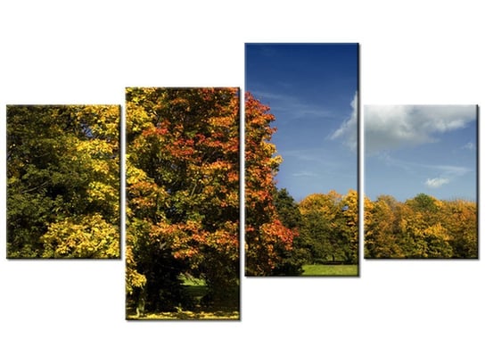 Obraz Park jesienią, 4 elementy, 120x70 cm Oobrazy