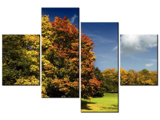 Obraz Park jesienią, 4 elementy, 120x80 cm Oobrazy