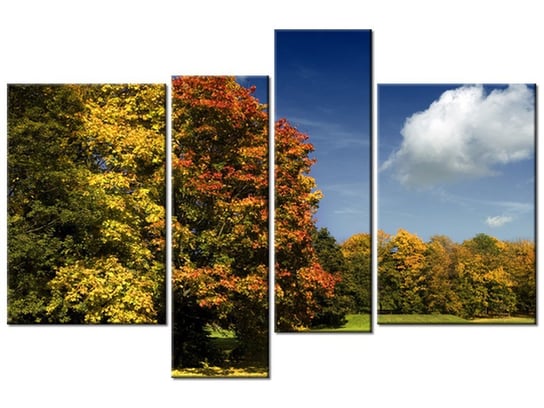 Obraz Park jesienią, 4 elementy, 130x85 cm Oobrazy