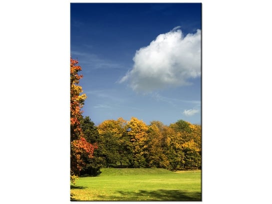 Obraz Park jesienią, 40x60 cm Oobrazy
