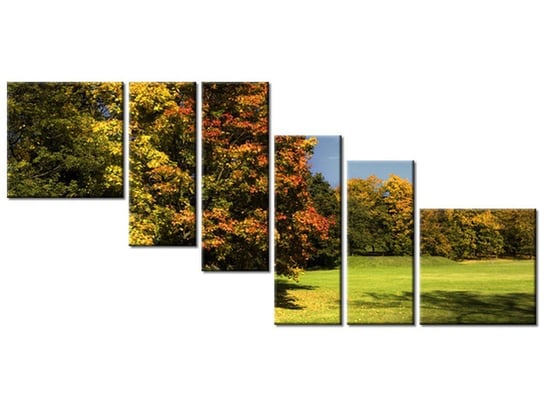 Obraz Park jesienią, 6 elementów, 220x100 cm Oobrazy