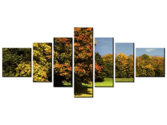 Obraz Park jesienią, 7 elementów, 160x70 cm Oobrazy