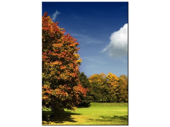 Obraz Park jesienią, 70x100 cm Oobrazy