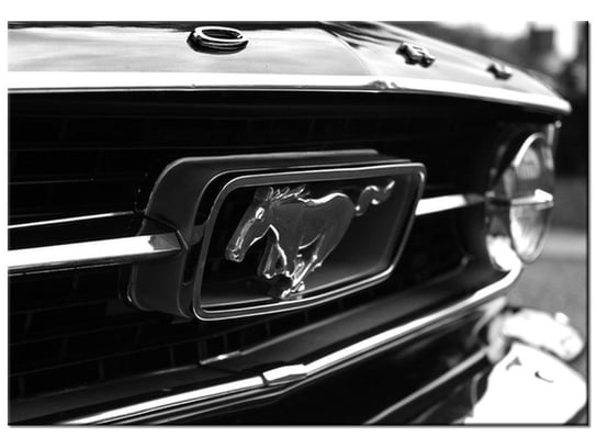 Obraz Pędzący Mustang - Spunkr, 100x70 cm Oobrazy