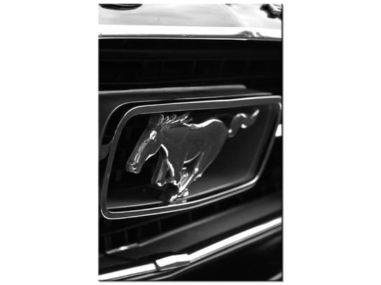 Obraz Pędzący Mustang - Spunkr, 20x30 cm Oobrazy