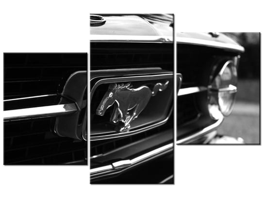 Obraz Pędzący Mustang - Spunkr, 3 elementy, 90x60 cm Oobrazy