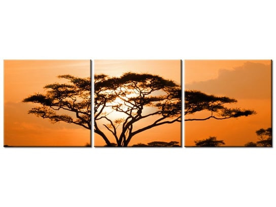 Obraz Pejzaż afrykański, 3 elementy, 120x40 cm Oobrazy