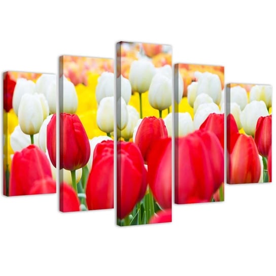 Obraz pięcioczęściowy na płótnie, Białe i czerwone tulipany - 150x100 Inna marka