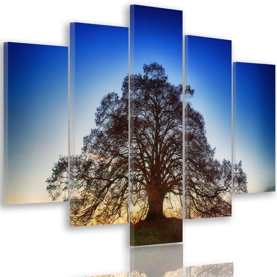 Obraz pięcioczęściowy na płótnie Canvas FEEBY, pentaptyk typ A, Wielkie drzewo o zmroku, 150x100 cm Feeby