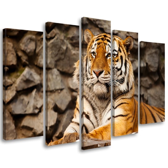 Obraz pięcioczęściowy na płótnie FEEBY, Afryka Tygrys Zwierzęta 150x100 Feeby