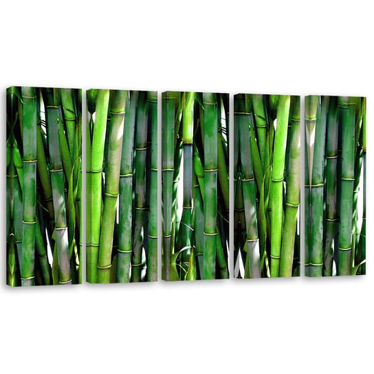 Obraz pięcioczęściowy na płótnie FEEBY, Bambus Las Natura Zielony 150x60 Feeby
