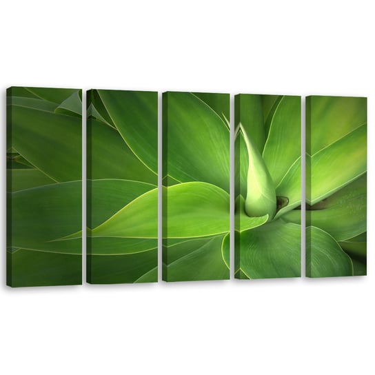 Obraz pięcioczęściowy na płótnie FEEBY, Zielone Liście Rośliny 100x40 Feeby
