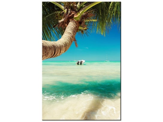 Obraz Piękna palma nad Morzem Karaibskim, 20x30 cm Oobrazy