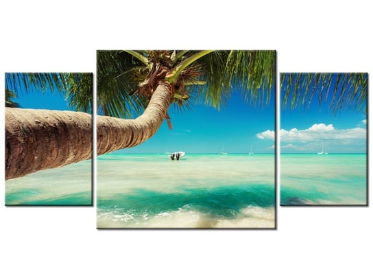 Obraz Piękna palma nad Morzem Karaibskim, 3 elementy, 80x40 cm Oobrazy