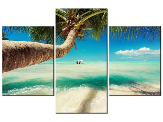 Obraz Piękna palma nad Morzem Karaibskim, 3 elementy, 90x60 cm Oobrazy