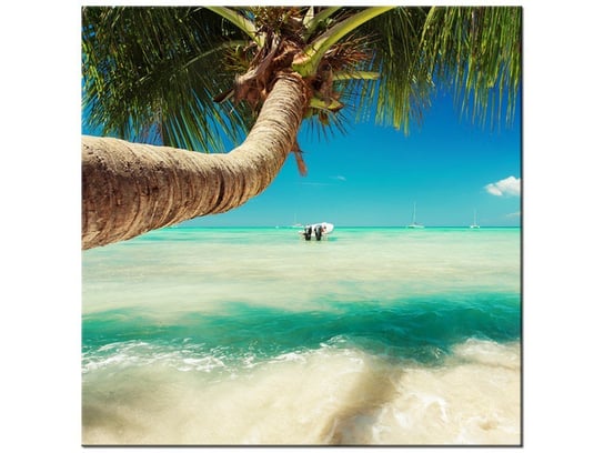 Obraz Piękna palma nad Morzem Karaibskim, 30x30 cm Oobrazy
