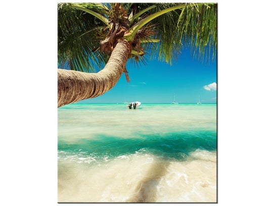 Obraz Piękna palma nad Morzem Karaibskim, 40x50 cm Oobrazy