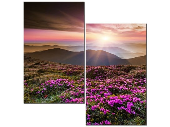 Obraz Piękny krajobraz, 2 elementy, 60x60 cm Oobrazy