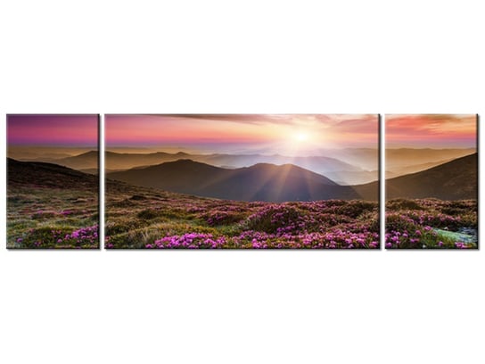 Obraz, Piękny krajobraz, 3 elementy, 170x50 cm Oobrazy